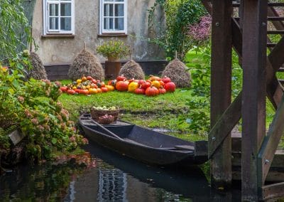 © Peter Becker - www.spreewald-foto.de