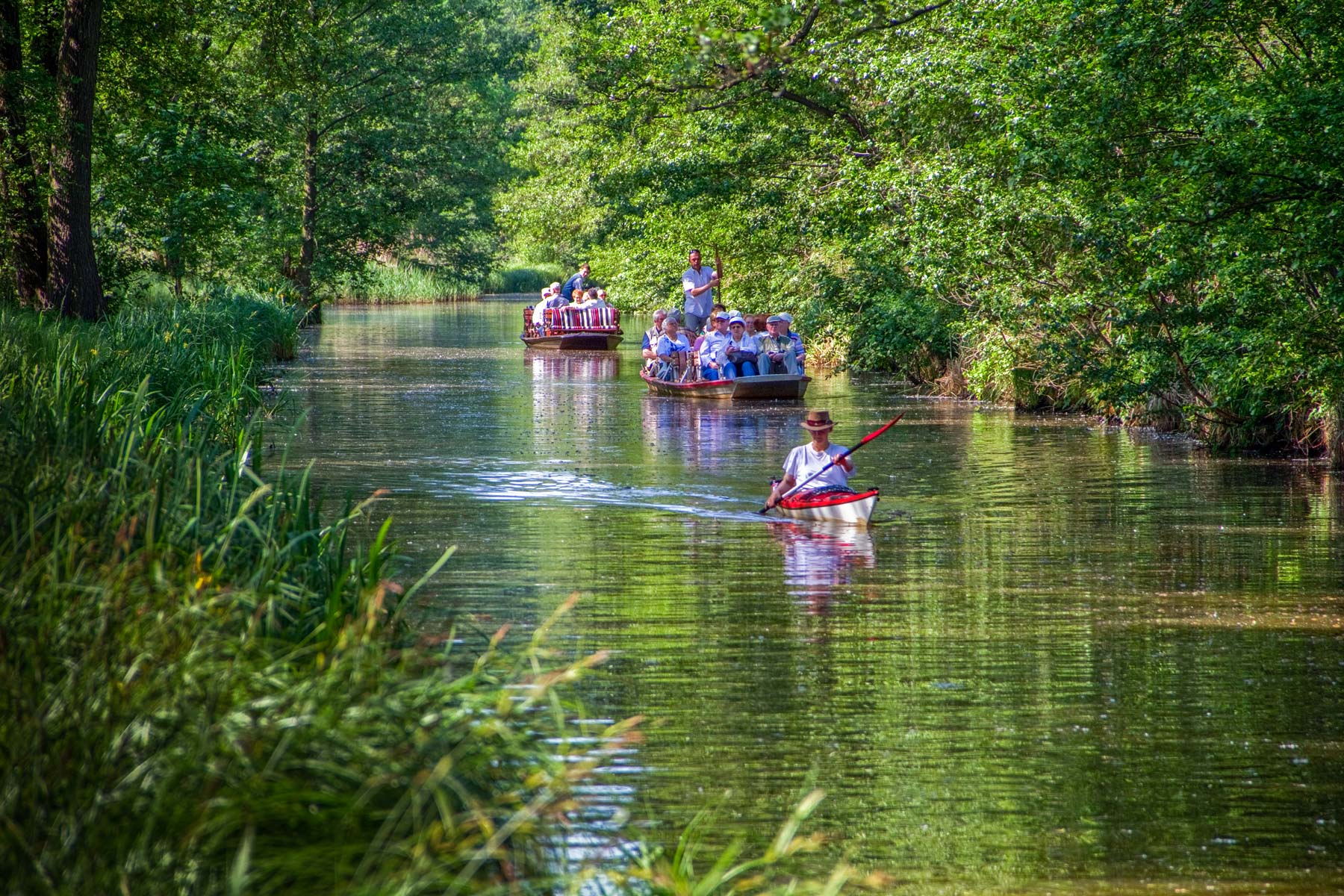 © Peter Becker - www.spreewald-foto.de