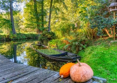 © Peter Becker - www.spreewald-foto.de