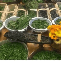 Spreewälder Vogelmieretag